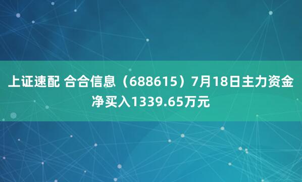 上证速配 合合信息（688615）7月18日主力资金净买入1339.65万元