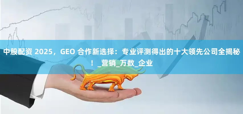 中股配资 2025，GEO 合作新选择：专业评测得出的十大领先公司全揭秘！_营销_万数_企业