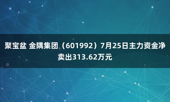 聚宝盆 金隅集团（601992）7月25日主力资金净卖出313.62万元